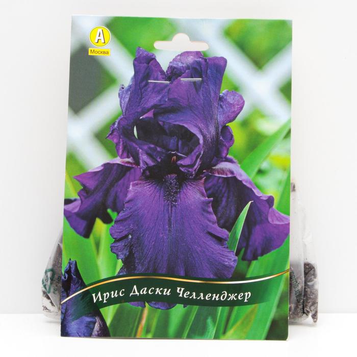 Ирис бородатый Даски Челленджер корневища, р/р I, 1 шт
Ирис бородатый Даски Челленджер корневища, р/р I, 1 шт