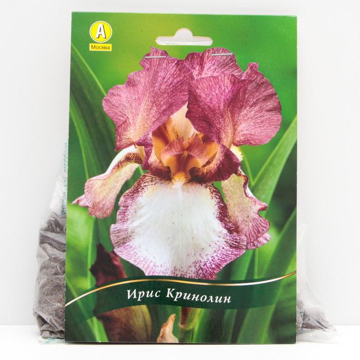 Ирис бородатый Кринолин корневища, р/р I, 1 шт
Ирис бородатый Кринолин корневища, р/р I, 1 шт