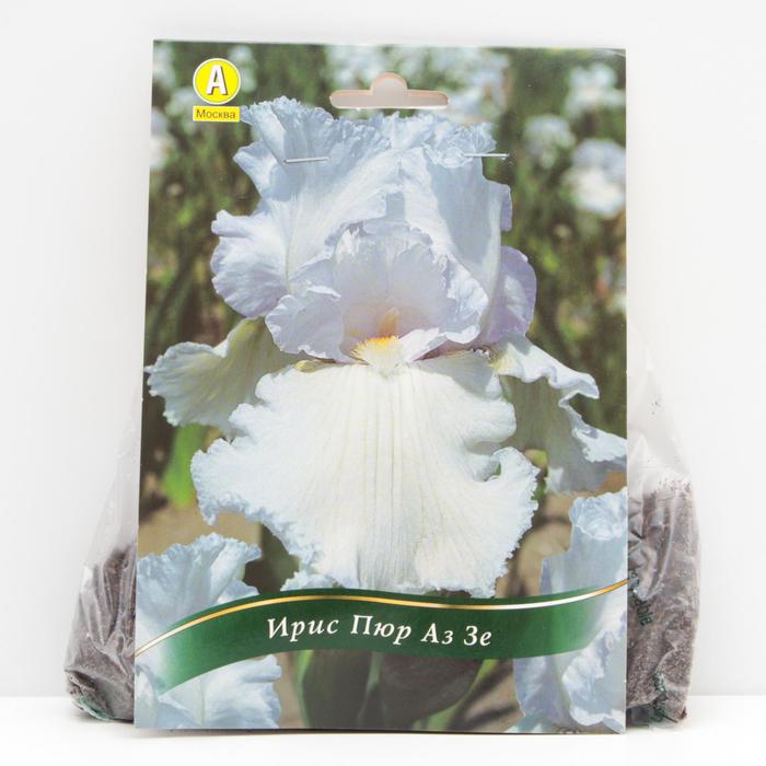 Ирис бородатый Пюр Аз Зе корневища, р/р I, 1 шт 
Ирис бородатый Пюр Аз Зе корневища, р/р I, 1 шт