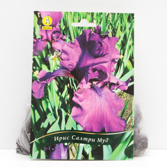 Ирис бородатый Салтри Муд корневища, р/р I, 1 шт
Ирис бородатый Салтри Муд корневища, р/р I, 1 шт