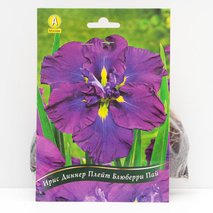Ирис мечевидный Диннер Плейт Блюберри Пай корневища, р/р I, 1 шт
Ирис мечевидный Диннер Плейт Блюберри Пай корневища, р/р I, 1 шт