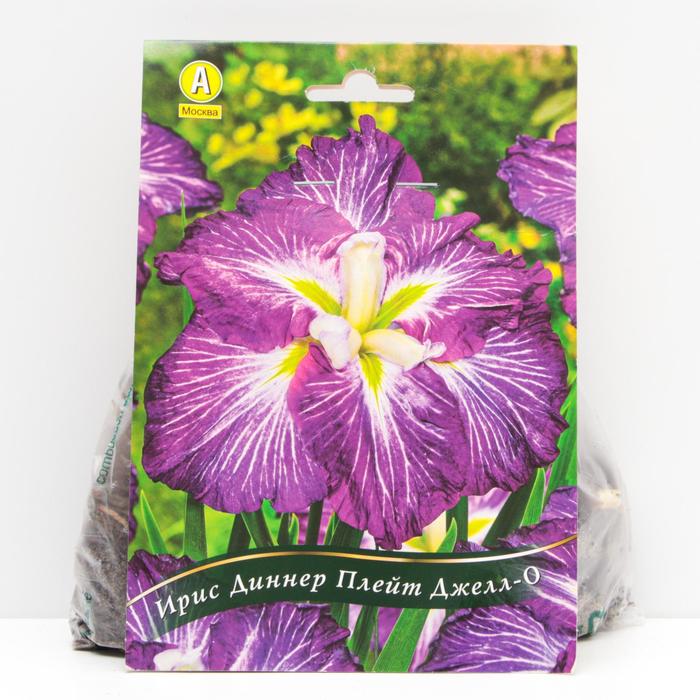 Ирис мечевидный Диннер Плейт Джелл-О корневища, р/р I, 1 шт
Ирис мечевидный Диннер Плейт Джелл-О корневища, р/р I, 1 шт