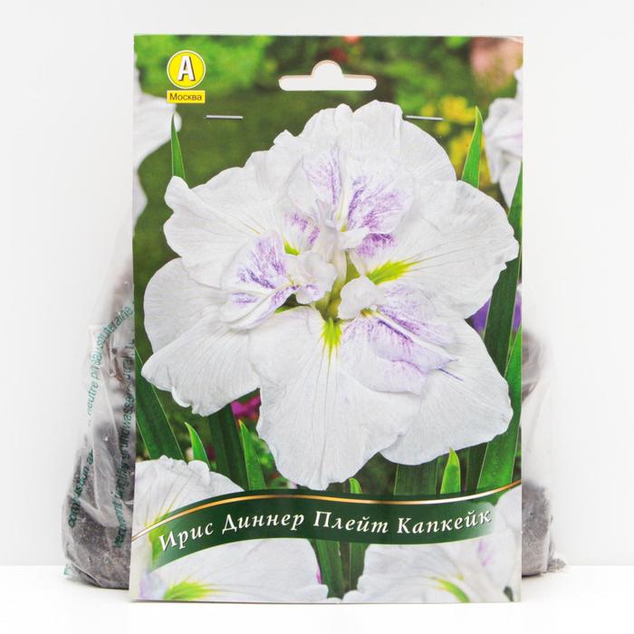 Ирис мечевидный Диннер Плейт Капкейк корневища, р/р I, 1 шт
Ирис мечевидный Диннер Плейт Капкейк корневища, р/р I, 1 шт