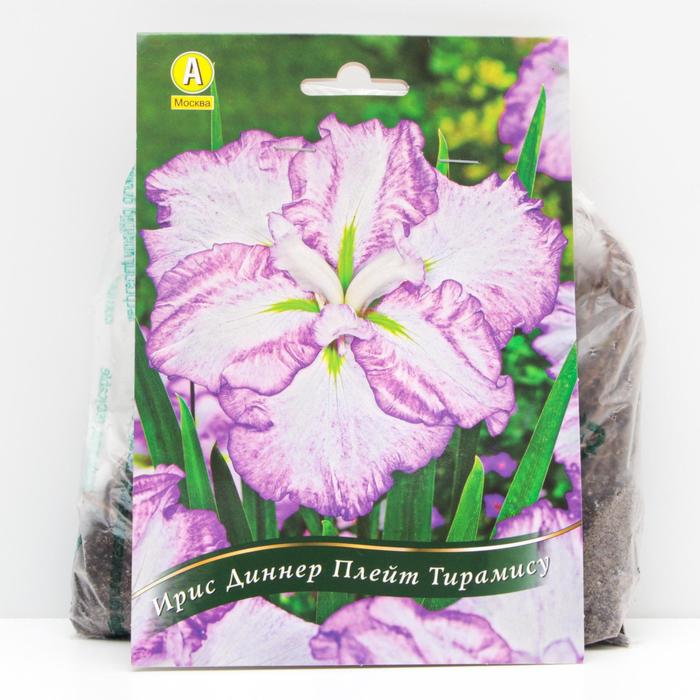 Ирис мечевидный Диннер Плейт Тирамису корневища, р/р I, 1 шт
Ирис мечевидный Диннер Плейт Тирамису корневища, р/р I, 1 шт