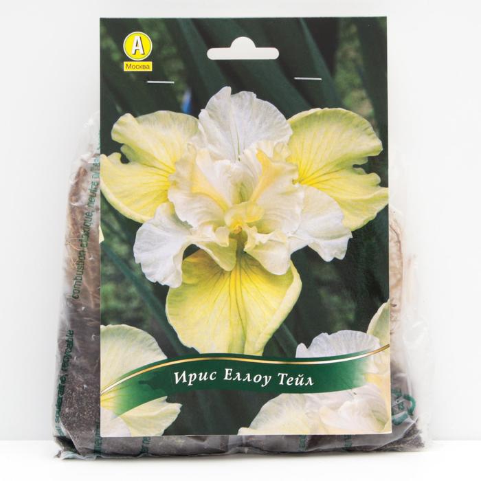 Ирис сибирский Еллоу Тейл корневища, р/р I, 1 шт
Ирис сибирский Еллоу Тейл корневища, р/р I, 1 шт