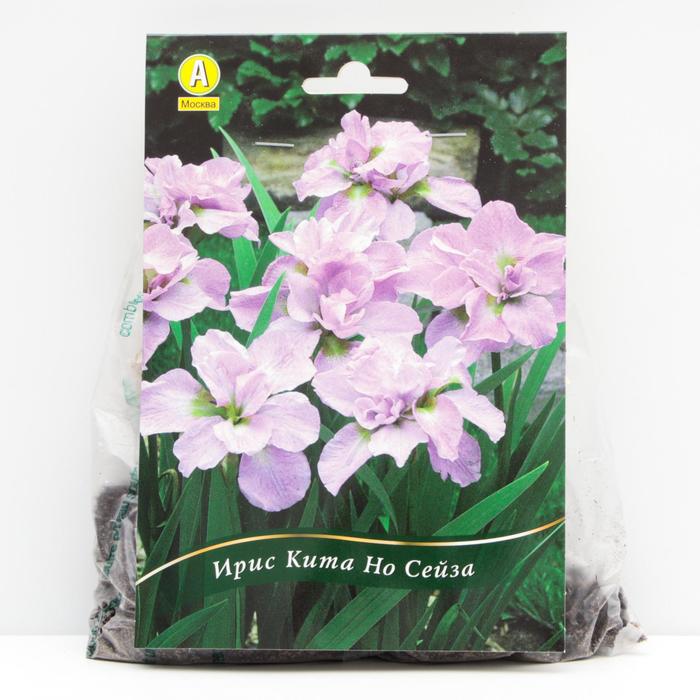 Ирис сибирский Кита Но Сейза корневища, р/р I, 1 шт
Ирис сибирский Кита Но Сейза корневища, р/р I, 1 шт