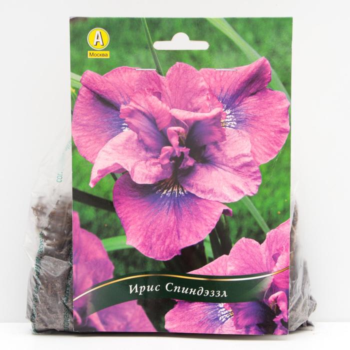 Ирис сибирский Спиндэззл корневища, р/р I, 1 шт
Ирис сибирский Спиндэззл корневища, р/р I, 1 шт