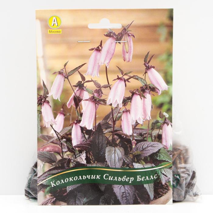 Колокольчик Сильвер Беллс корневища, р/р I, 1 шт
Колокольчик Сильвер Беллс корневища, р/р I, 1 шт