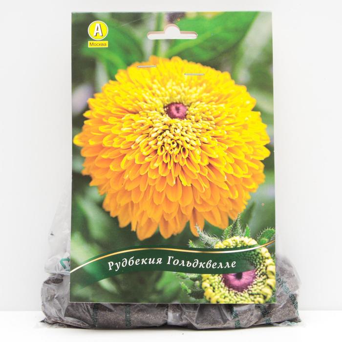 Рудбекия Гольдквелле корневища, р/р II, 1 шт
Рудбекия Гольдквелле корневища, р/р II, 1 шт