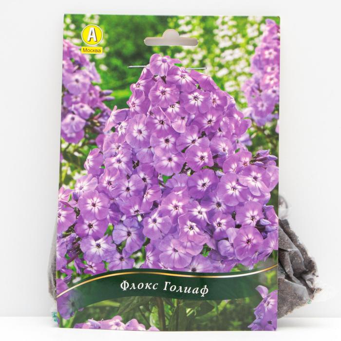 Флокс Голиаф корневища, р/р I, 1 шт
Флокс Голиаф корневища, р/р I, 1 шт