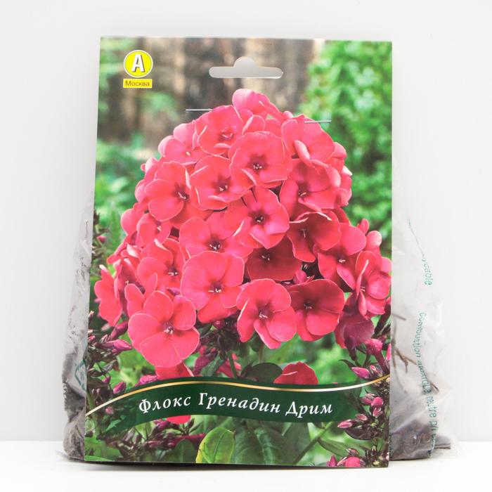 Флокс Гренадин Дрим корневища, р/р I, 1 шт
Флокс Гренадин Дрим корневища, р/р I, 1 шт