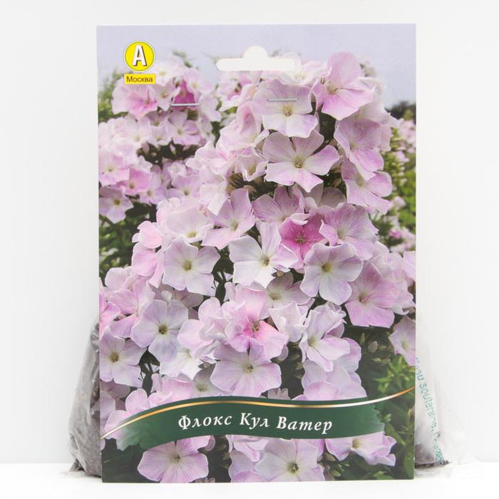 Флокс Кул Ватер корневища, р/р I, 1 шт
Флокс Кул Ватер корневища, р/р I, 1 шт