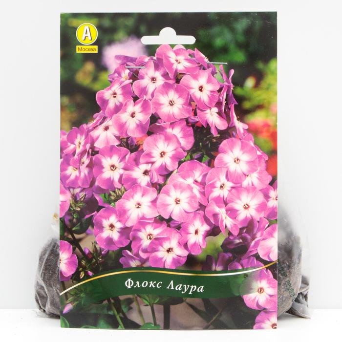 Флокс Лаура корневища, р/р I, 1 шт
Флокс Лаура корневища, р/р I, 1 шт