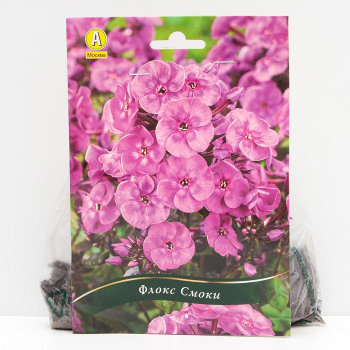 Флокс Смоки корневища, р/р I, 1 шт
Флокс Смоки корневища, р/р I, 1 шт