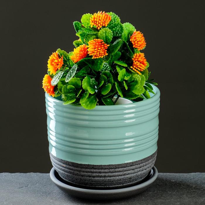 Лагуна бирюзовый бук №1 0.75л
Лагуна бирюзовый бук №1 0.75л