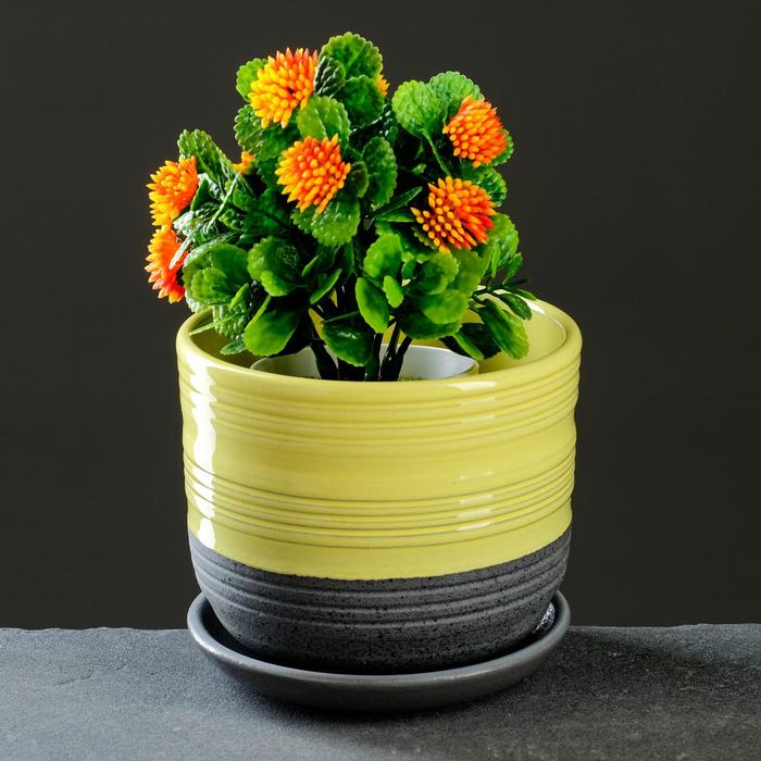 Лагуна желтый бук №1 0,75л
Лагуна желтый бук №1 0,75л