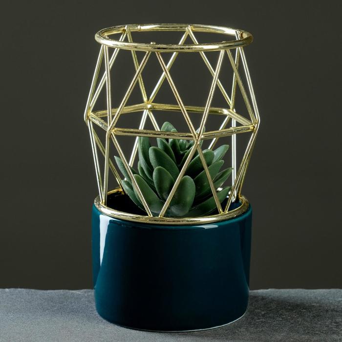 Кашпо с клеткой зеленое 15*8*8см
Кашпо с клеткой зеленое 15*8*8см