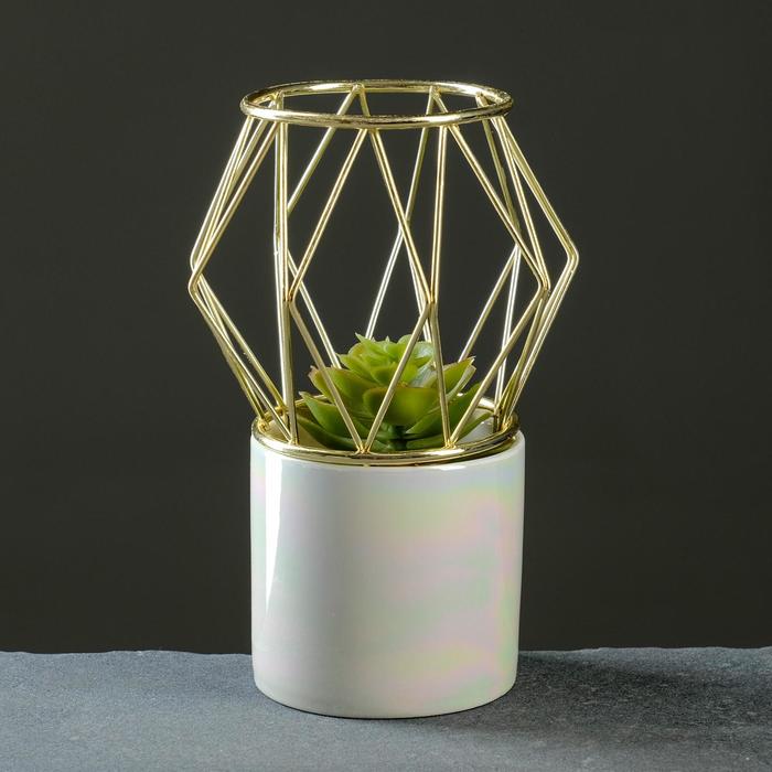 Кашпо с клеткой белое 18*8*8см
Кашпо с клеткой белое 18*8*8см