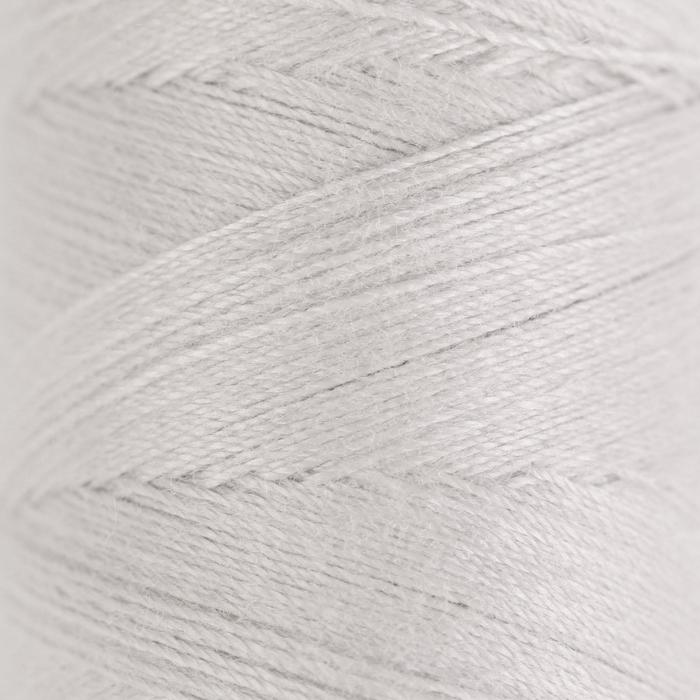 Нитки 40ЛШ, 200 м, цвет светло-серый №5202 
Нитки 40ЛШ, 200 м, цвет светло-серый №5202