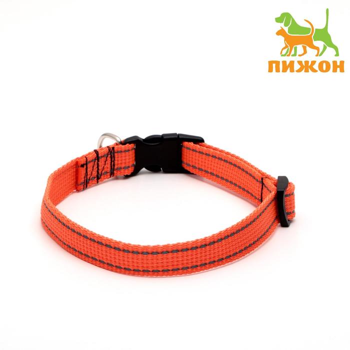 Ошейник капроновый, светоотражающий, фастекс с замком, 50 х 2 см, ОШ до 50 см, оранжевый
Ошейник капроновый, светоотражающий, фастекс с замком, 50 х 2 см, ОШ до 50 см, оранжевый