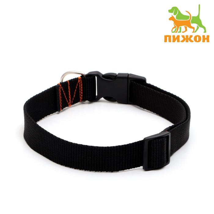 Ошейник капроновый однослойный, фастекс с замком, 70 х 2,5 см, ОШ до 60 см, чёрный 
Ошейник капроновый однослойный, фастекс с замком, 70 х 2,5 см, ОШ до 60 см, чёрный