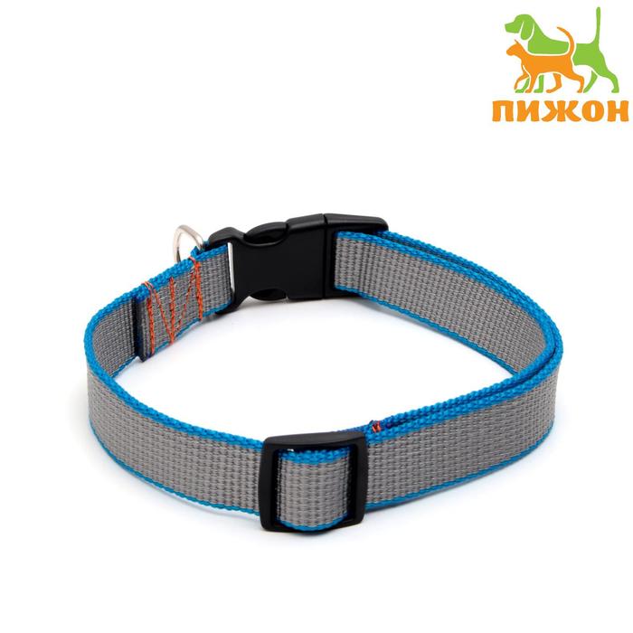 Ошейник капроновый, фастекс с замком, 70 х 2,5 см, ОШ до 60 см, серый с синим краем
Ошейник капроновый, фастекс с замком, 70 х 2,5 см, ОШ до 60 см, серый с синим краем