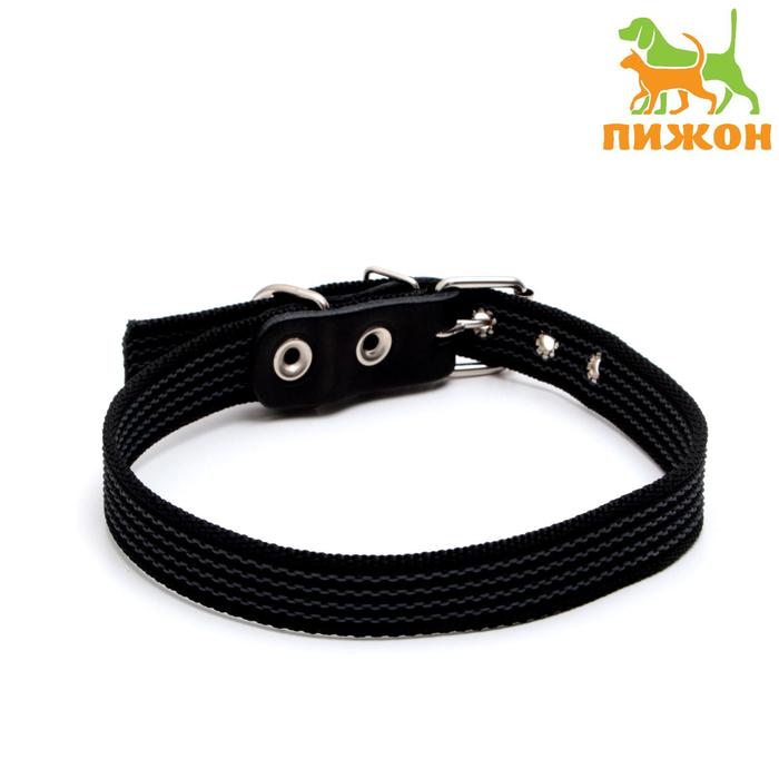 Ошейник с латексной нитью однослойный, капрон, 65 х 2,5 см, ОШ до 60 см, чёрный
Ошейник с латексной нитью однослойный, капрон, 65 х 2,5 см, ОШ до 60 см, чёрный