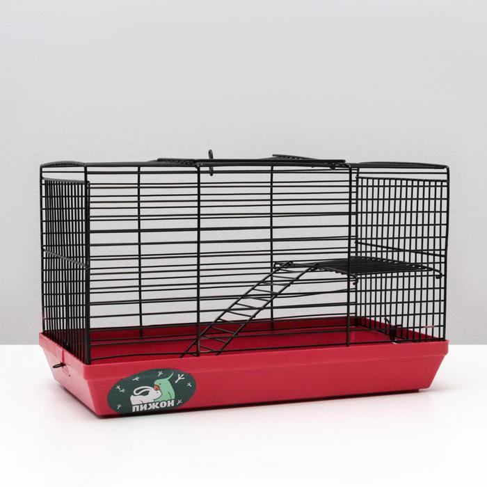 Клетка-мини для грызунов "Пижон" №2-1, без наполнения, 27х15х16 см, рубиновая
Клетка-мини для грызунов "Пижон" №2-1, без наполнения, 27х15х16 см, рубиновая