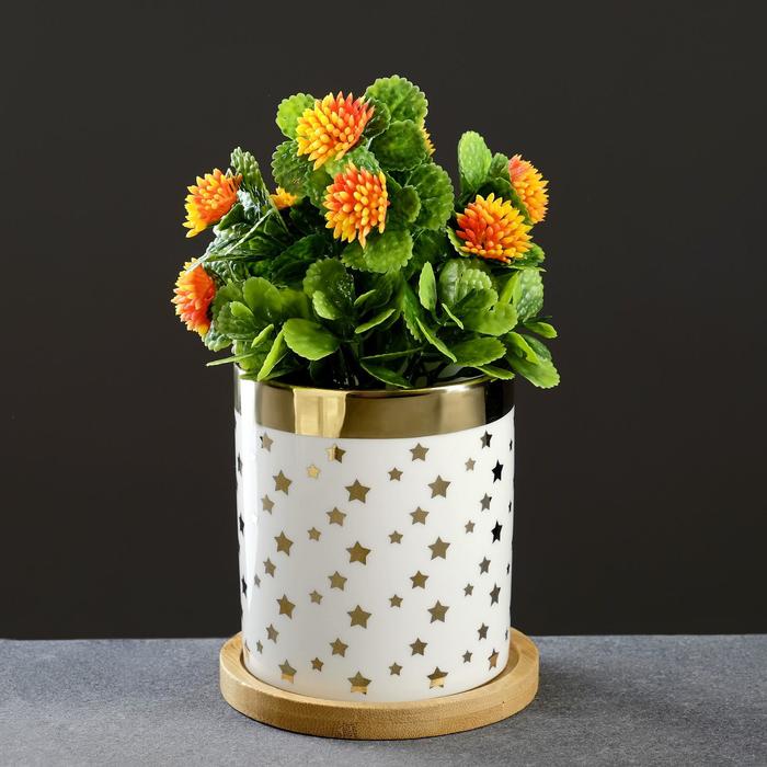 Горшок для цветов "Золотые звезды" на деревянной подставке, 10,5*8*8см
Горшок для цветов "Золотые звезды" на деревянной подставке, 10,5*8*8см