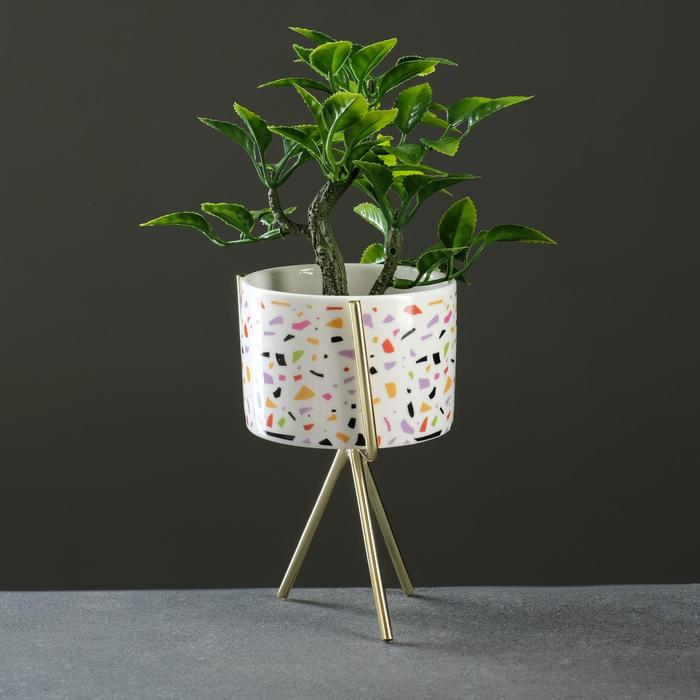 Кашпо на подставке "Разноцветные осколки" 13*8*8см
Кашпо на подставке "Разноцветные осколки" 13*8*8см