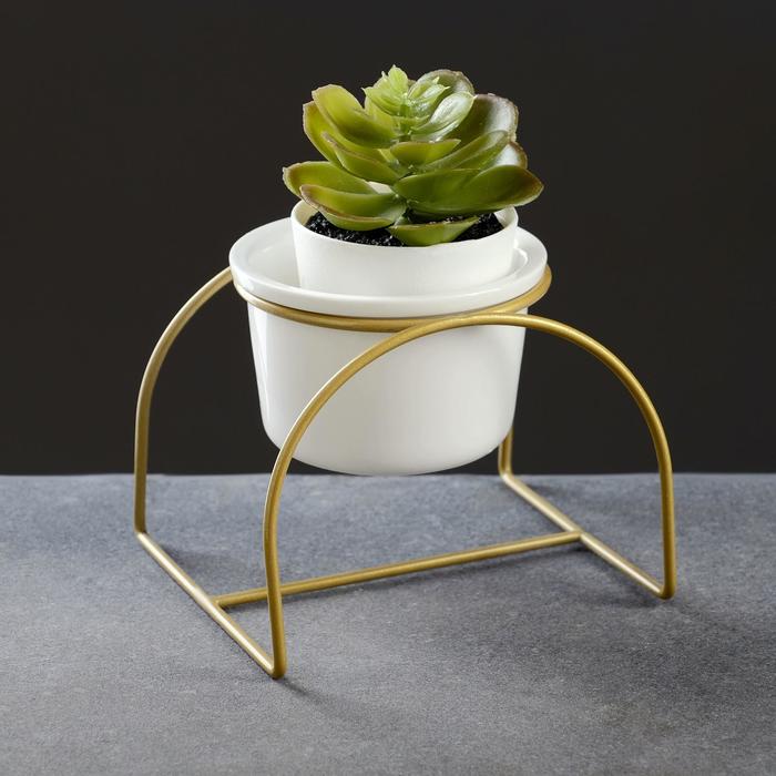 Кашпо "Цилиндр" белое, на золотой подставке 13*12*10см
Кашпо "Цилиндр" белое, на золотой подставке 13*12*10см