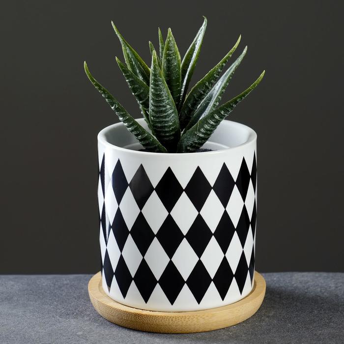 Кашпо "Черно-белые узоры" на деревянной подставке, микс 7,5*7,5см
Кашпо "Черно-белые узоры" на деревянной подставке, микс 7,5*7,5см