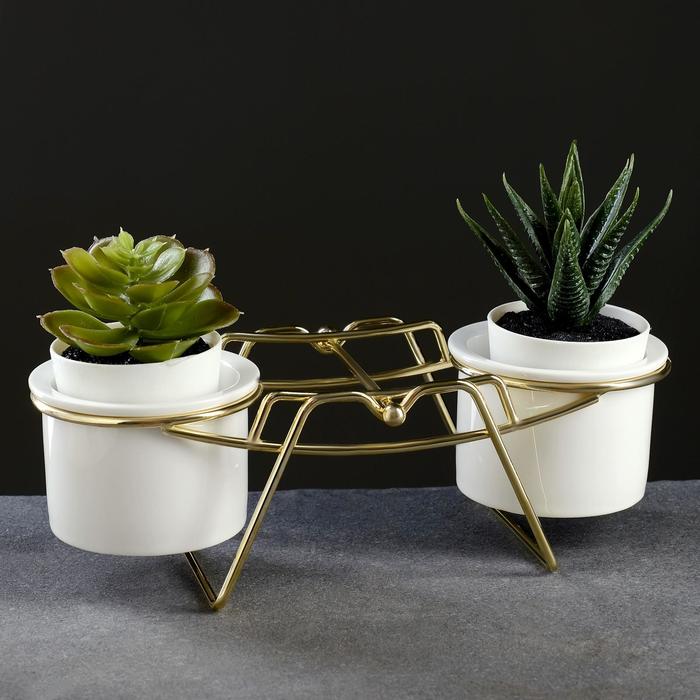 Набор кашпо на подставке 2 шт, 24*8*8см
Набор кашпо на подставке 2 шт, 24*8*8см