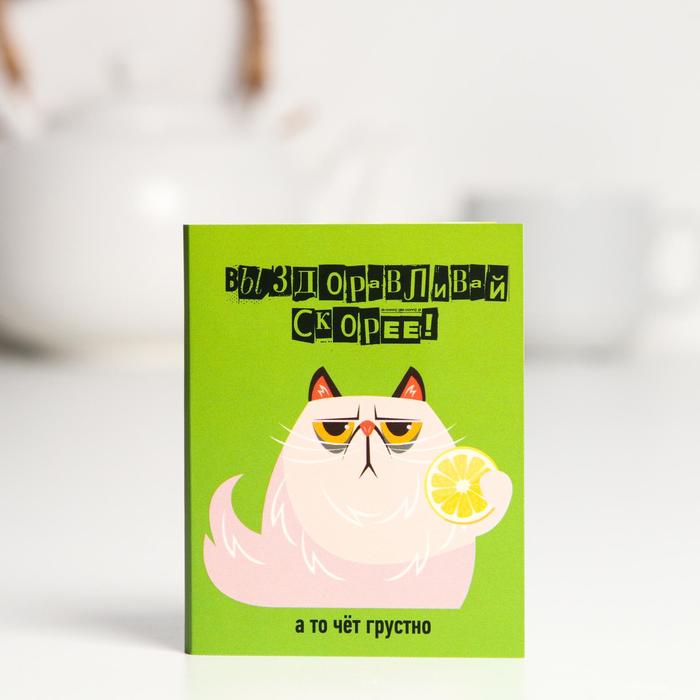 Шоколадная открытка «Выздоравливай», 5 г
Шоколадная открытка «Выздоравливай», 5 г