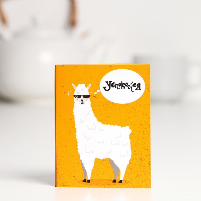 Шоколадная открытка «Успокойся», 5г
Шоколадная открытка «Успокойся», 5г