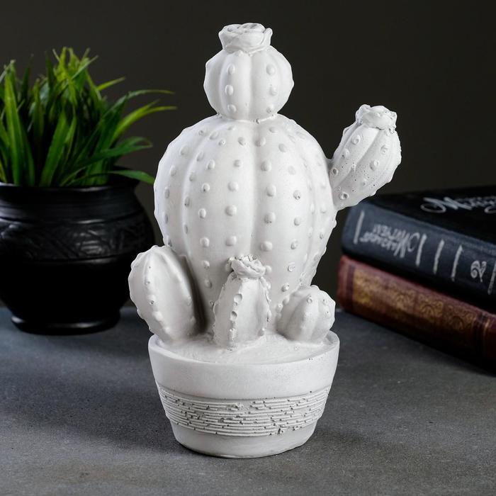 Копилка "Кактус" 21см
Копилка "Кактус" 21см