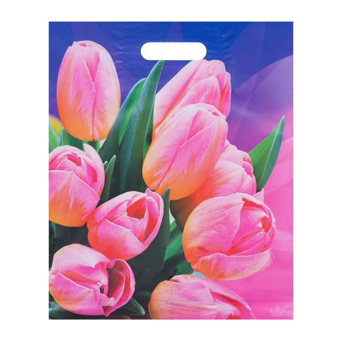 Пакет "Тюльпаны на фиолетовом", полиэтиленовый с вырубной ручкой, 60 мкм, 31 х 40 см
Пакет "Тюльпаны на фиолетовом", полиэтиленовый с вырубной ручкой, 60 мкм, 31 х 40 см