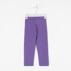 Леггинсы для девочки, цвет фиолетовый, рост 92 см (2 года) 
Леггинсы для девочки, цвет фиолетовый, рост 92 см (2 года)