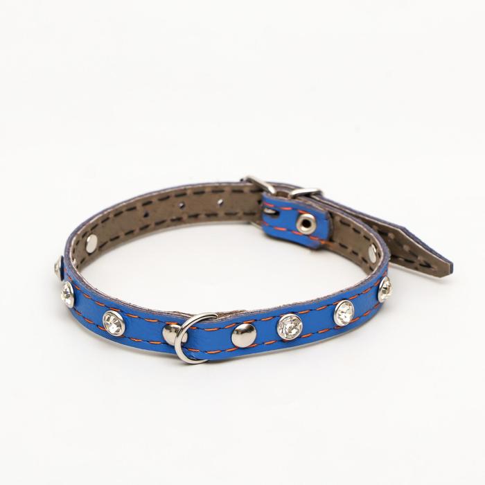 Ошейник кожаный двухслойный со стразами, 1,2 х 35 см, ОШ 20-30 см, голубой
Ошейник кожаный двухслойный со стразами, 1,2 х 35 см, ОШ 20-30 см, голубой