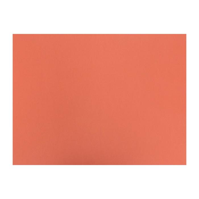 Бумага цветная 650*500мм Fabriano COLORE 185г/м² TERRACOTA терракота S3215626
Бумага цветная 650*500мм Fabriano COLORE 185г/м² TERRACOTA терракота S3215626