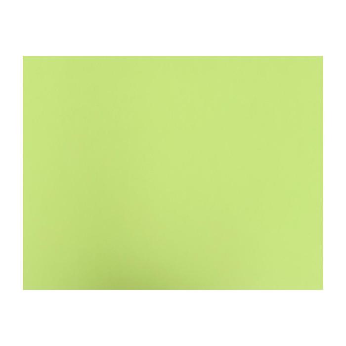 Бумага цветная 650*500мм Fabriano COLORE 185г/м² VERDE LIMA зел.известь S3215619
Бумага цветная 650*500мм Fabriano COLORE 185г/м² VERDE LIMA зел.известь S3215619