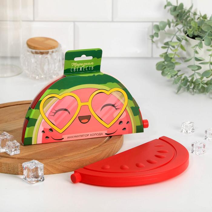 Аккумулятор холода "Морозная свежесть", 21х11х1,8 см
Аккумулятор холода "Морозная свежесть", 21х11х1,8 см