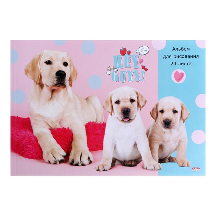 Альбом для рисования А4, 24 листа на клею "Хорошие собаки", бумажная обложка, блок 100 г/м2 
Альбом для рисования А4, 24 листа на клею "Хорошие собаки", бумажная обложка, блок 100 г/м2
