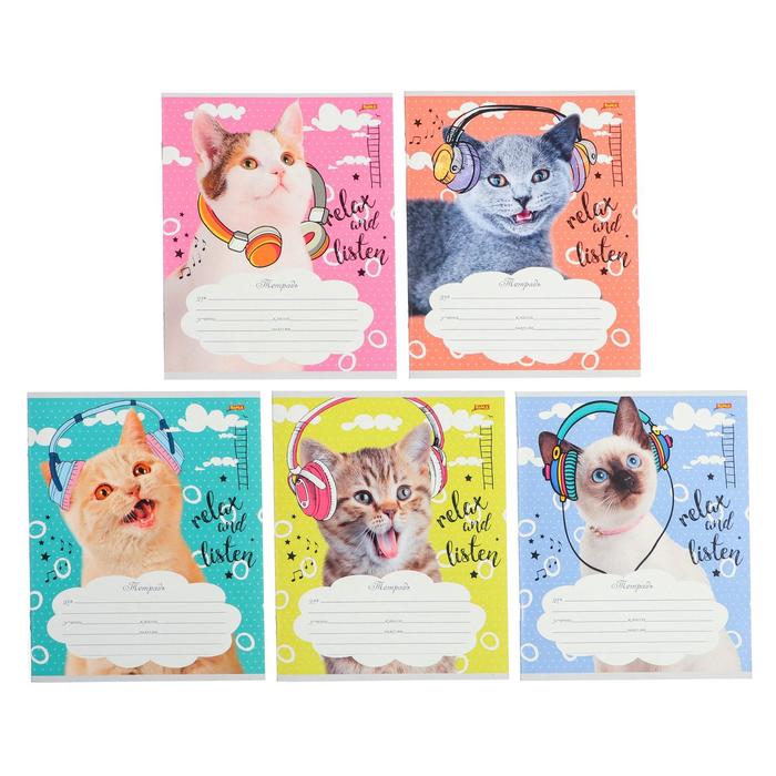 Тетрадь 12 листов в клетку "Котята в наушниках", обложка мелованный картон, блок № 2, белизна 75% (серые листы), МИКС 
Тетрадь 12 листов в клетку "Котята в наушниках", обложка мелованный картон, блок № 2, белизна 75% (серые листы), МИКС