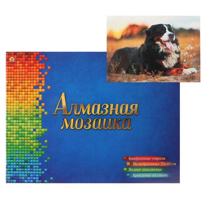 Алмазная мозаика квадратная 30×40 см, полное заполнение, 28 цв. «Бернский скотт в поле»
Алмазная мозаика квадратная 30×40 см, полное заполнение, 28 цв. «Бернский скотт в поле»