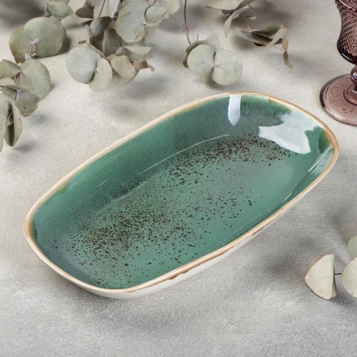 Блюдо Erboso reattivo, 29,5×17 см
Блюдо Erboso reattivo, 29,5×17 см