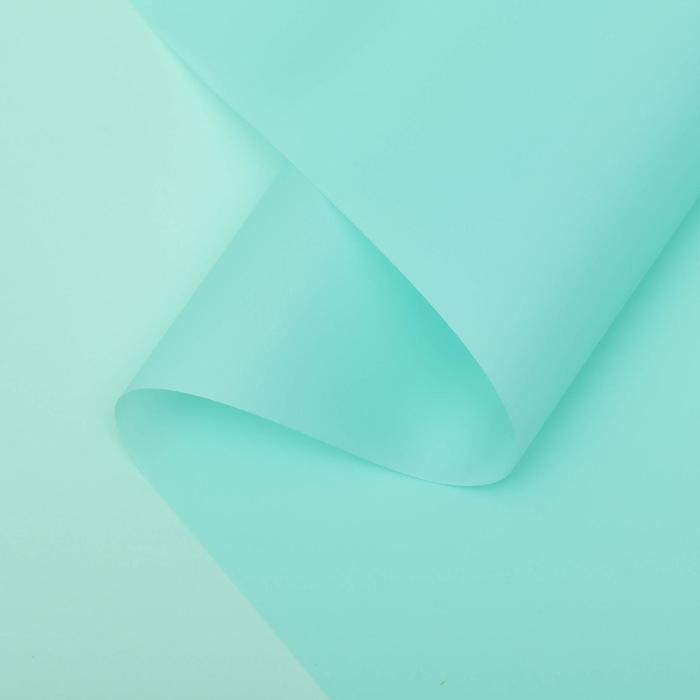 Пленка для цветов "Люкс", матовая, мятная, 0,6 м, 200 г, 40 мкм
Пленка для цветов "Люкс", матовая, мятная, 0,6 м, 200 г, 40 мкм