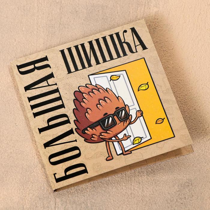 Шоколадная открытка «Большая шишка», 5 г
Шоколадная открытка «Большая шишка», 5 г