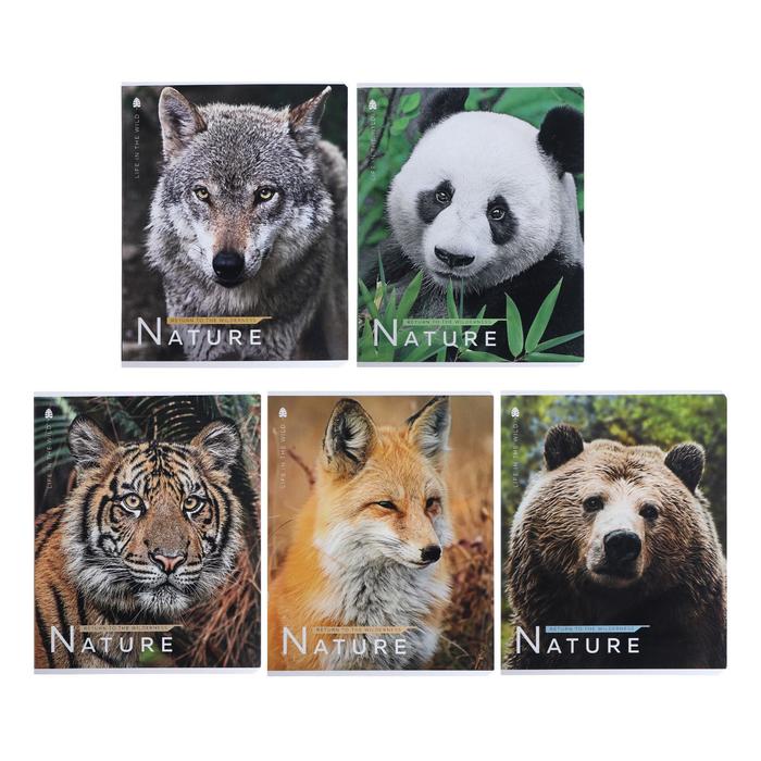 Тетрадь 48 листов в клетку "Фото зверей", обложка мелованный картон, блок офсет, МИКС
Тетрадь 48 листов в клетку "Фото зверей", обложка мелованный картон, блок офсет, МИКС