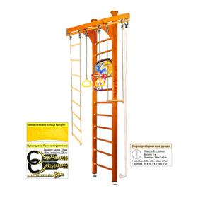 Шведская стенка Kampfer Wooden Ladder Ceiling Basketball Shield №3, цвет классический, высота 3 м
Шведская стенка Kampfer Wooden Ladder Ceiling Basketball Shield №3, цвет классический, высота 3 м